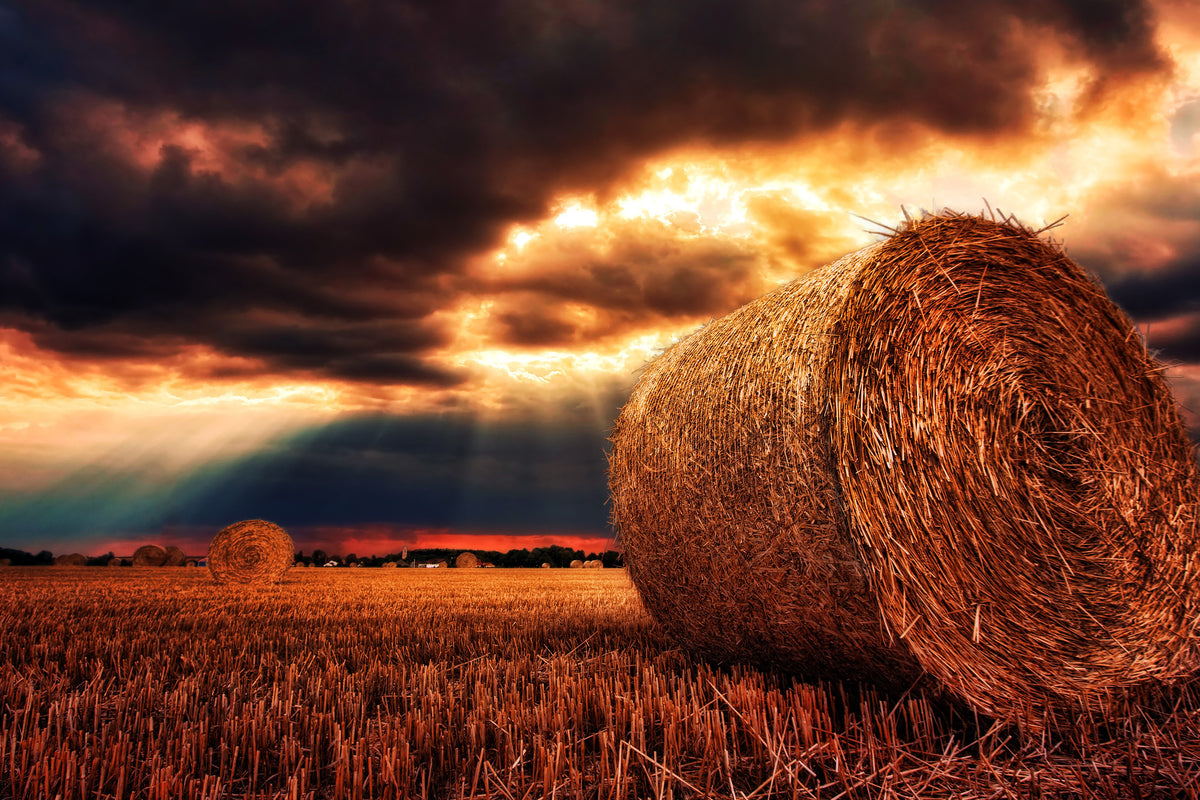 poster-print-mystic-landscape