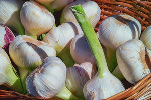 acrylic-print-fresh-garlic