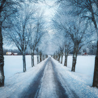 poster-print-swedish-winter-x