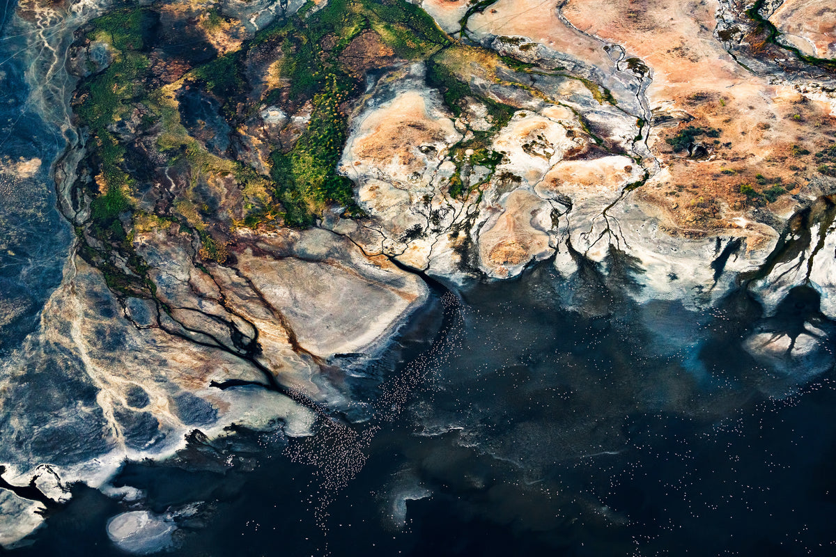 acrylic-print-splendid-africa