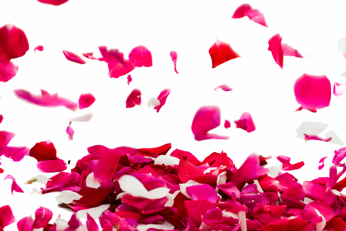 3-piece-aluminium-print-let-it-rain-red-roses-for-me
