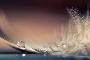 acrylic-print-stories-of-drops
