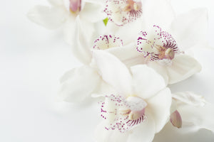 modern-3-piece-aluminium-print-fantastic-orchids