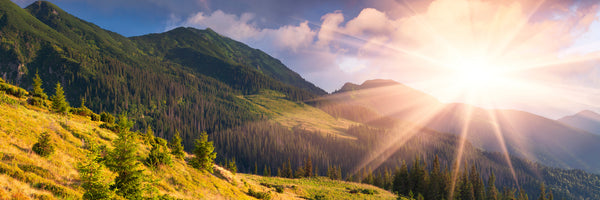 panoramic-3-piece-aluminium-print-beginning-of-autumn-panorama