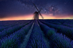 canvas-print-lavender-night-x