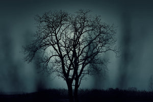 modern-3-piece-acrylic-print-the-tree-in-darkness