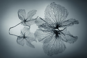 modern-3-piece-canvas-print-ephemeral-beauty