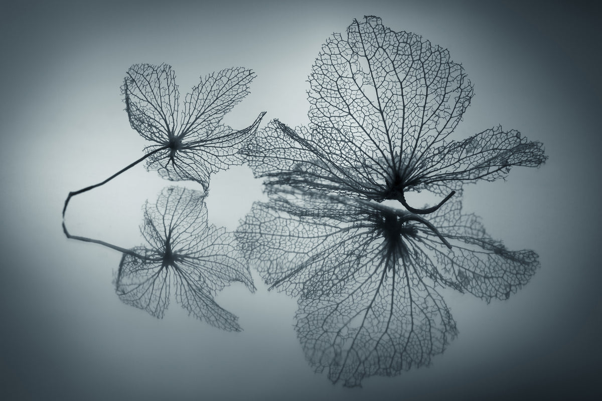 modern-3-piece-canvas-print-ephemeral-beauty
