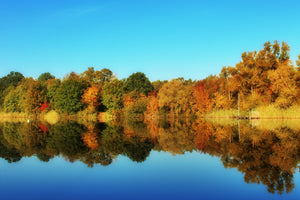 poster-print-autumn-reflections