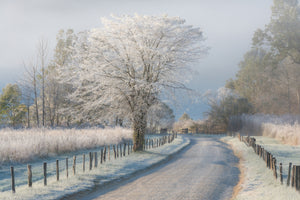 modern-3-piece-acrylic-print-a-frosty-morning
