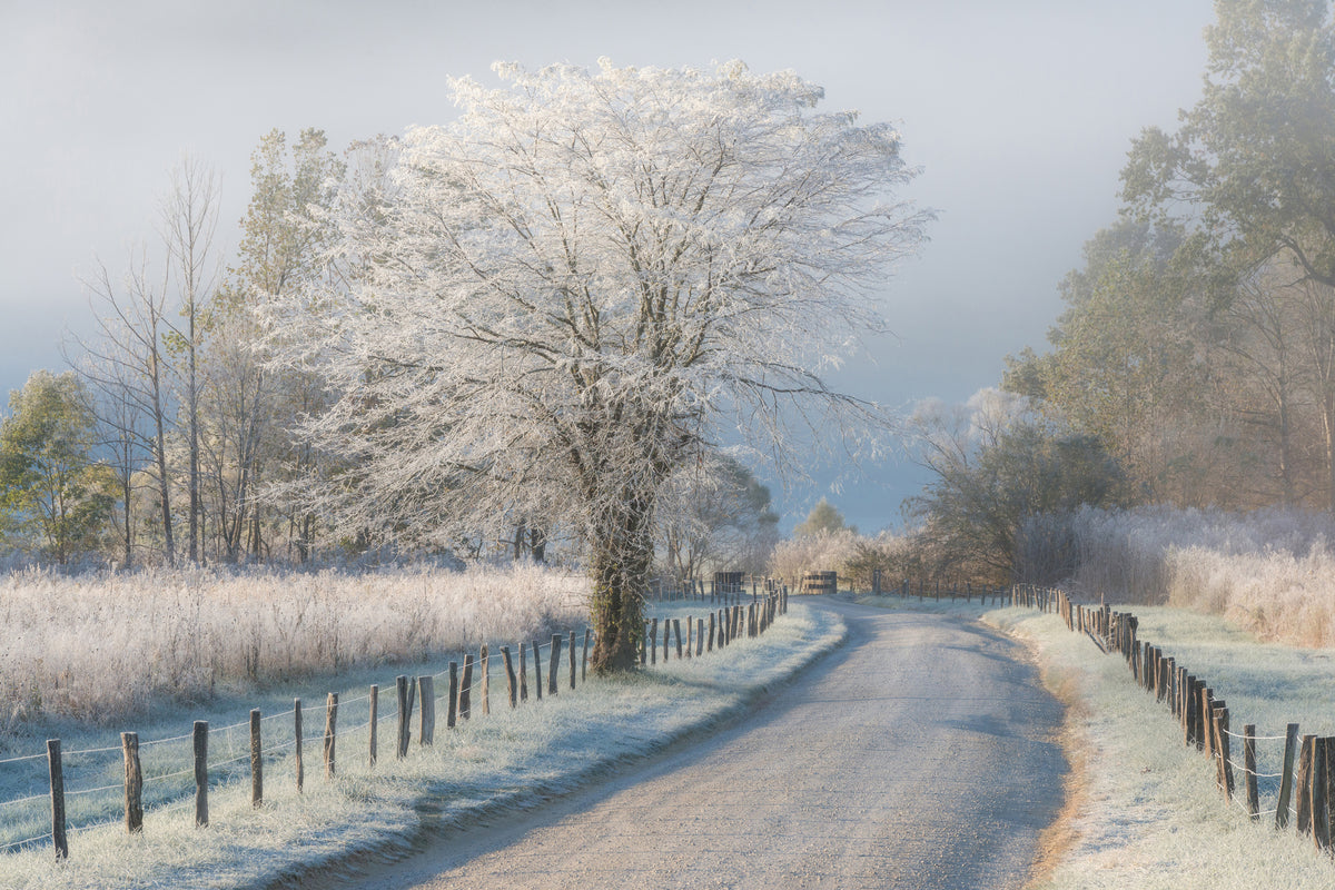 modern-3-piece-acrylic-print-a-frosty-morning