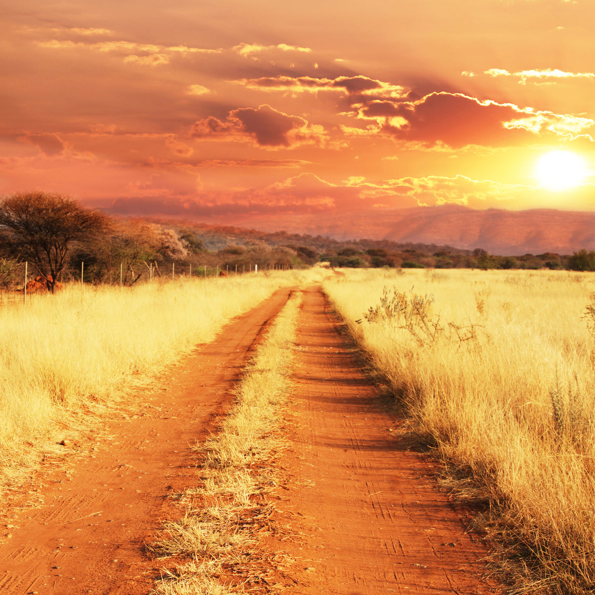 9-piece-aluminium-print-dusk-in-kenya