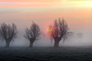 framedposter-print-the-shadow-of-time