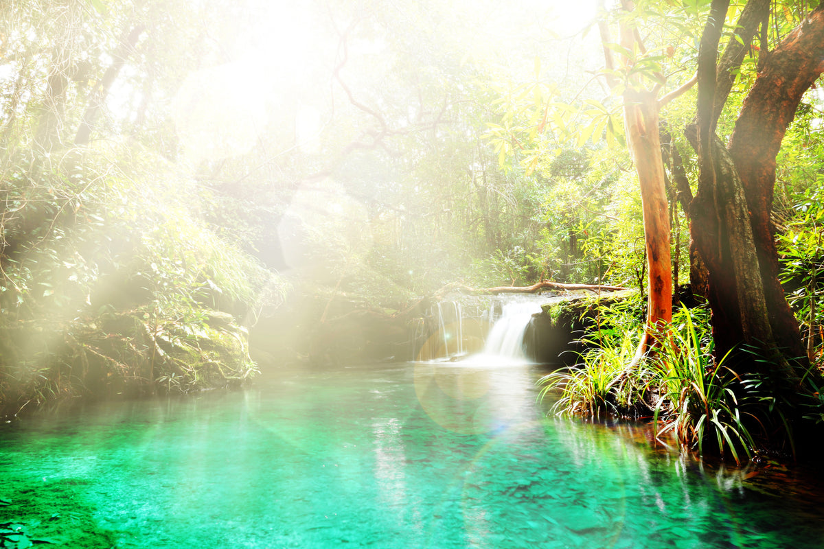 framedcanvas-print-the-green-lagoon