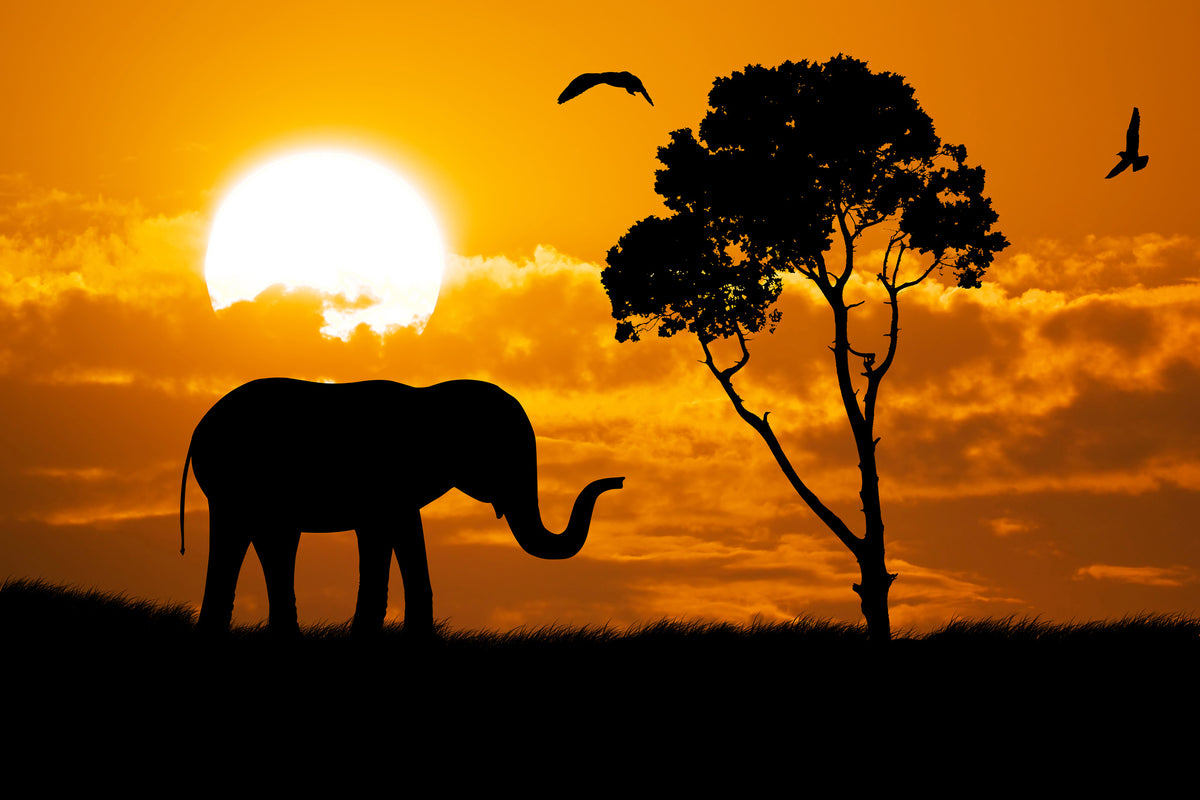 modern-3-piece-canvas-print-dreamy-africa