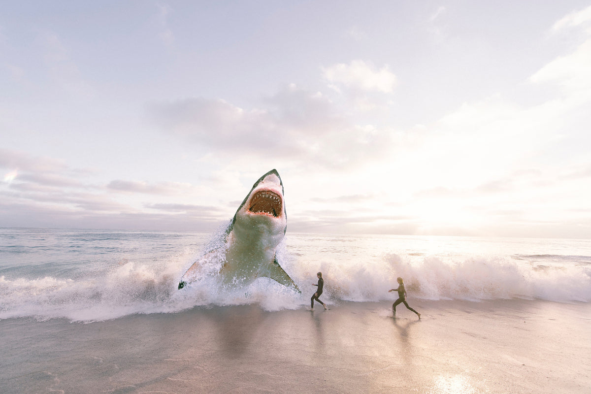 3-piece-aluminium-print-beware-shark