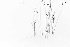 modern-3-piece-canvas-print-black-on-white