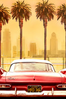 acrylic-print-plymouth-savoy-with-palms
