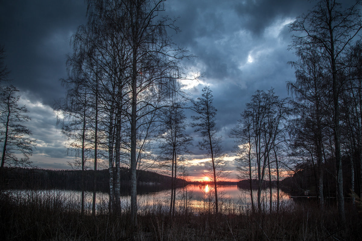 acrylic-print-trees-at-the-lake