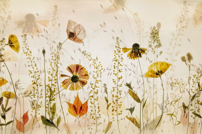 poster-print-in-the-field-x