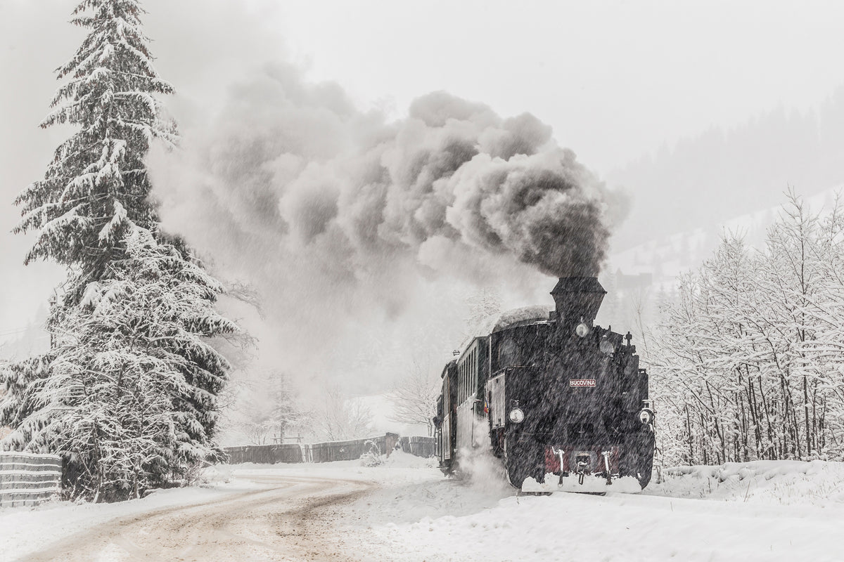 acrylic-print-winter-story-x