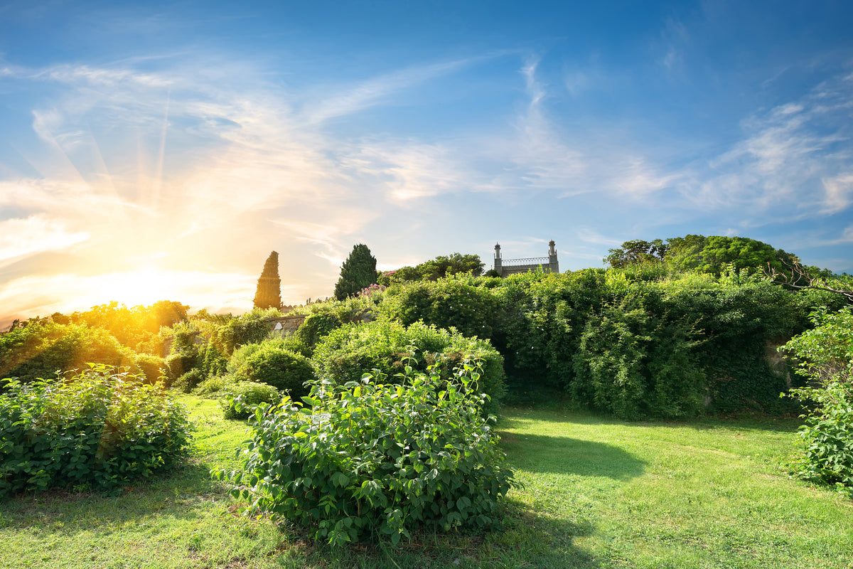 modern-3-piece-canvas-print-sunrise-in-the-park