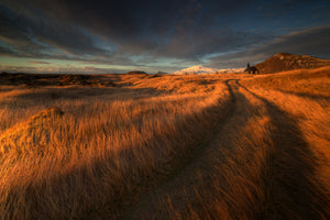framedcanvas-print-the-long-winding-road-x