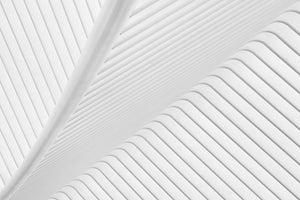 poster-print-canopy