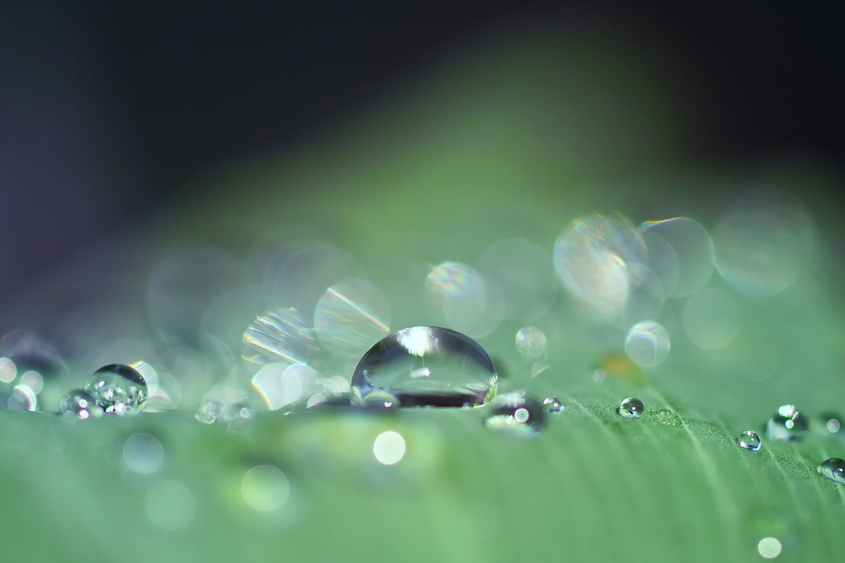 3-piece-canvas-print-drops-of-water-in-xxl