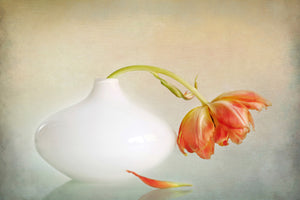 modern-3-piece-canvas-print-2lip