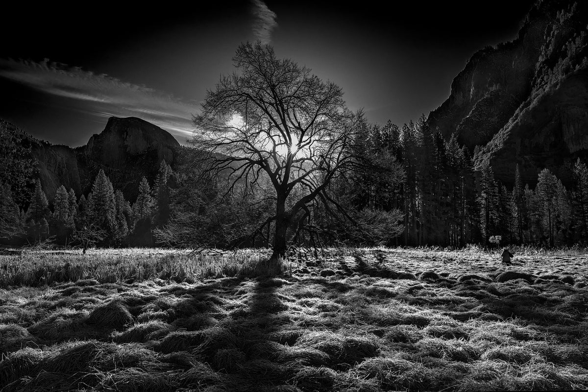 acrylic-print-the-winter-spirit
