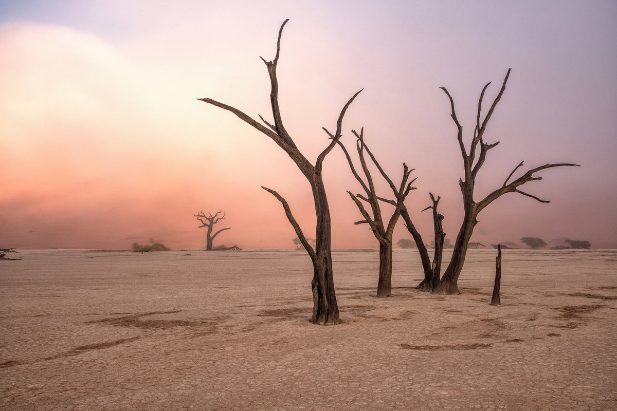 acrylic-print-fog-in-deadvlei