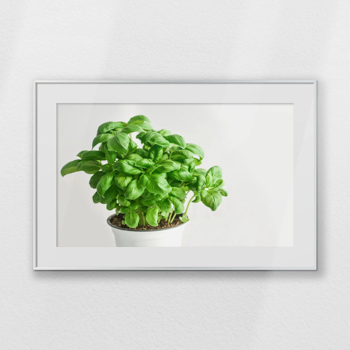 PSP093W062