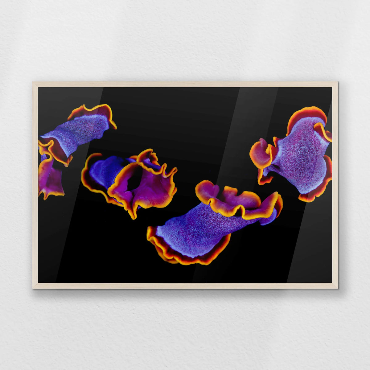 PN-093W062