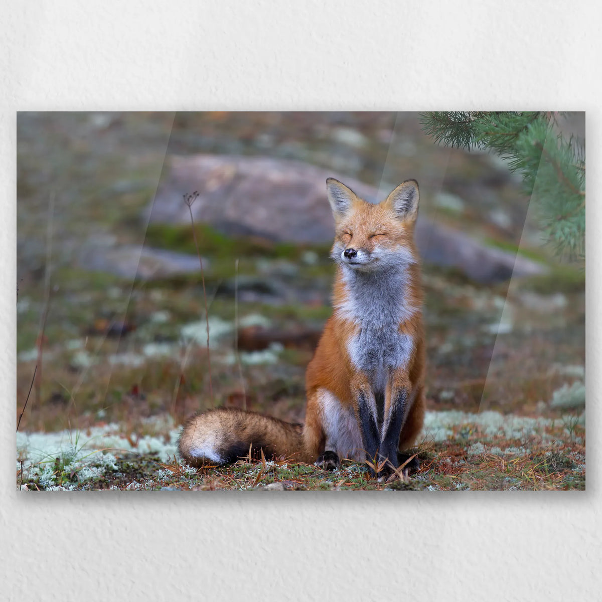 AC-060W040