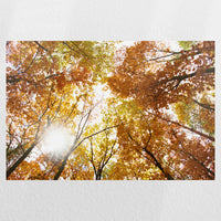 PO-045W030
