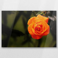 AC-030W020