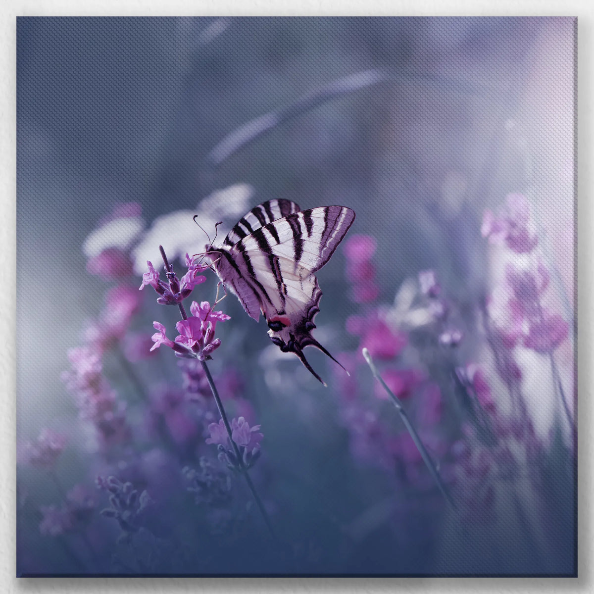 LW-050W050