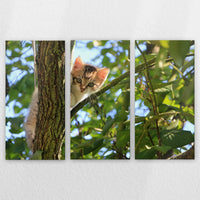 LW-180R120