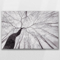 LW-075W050