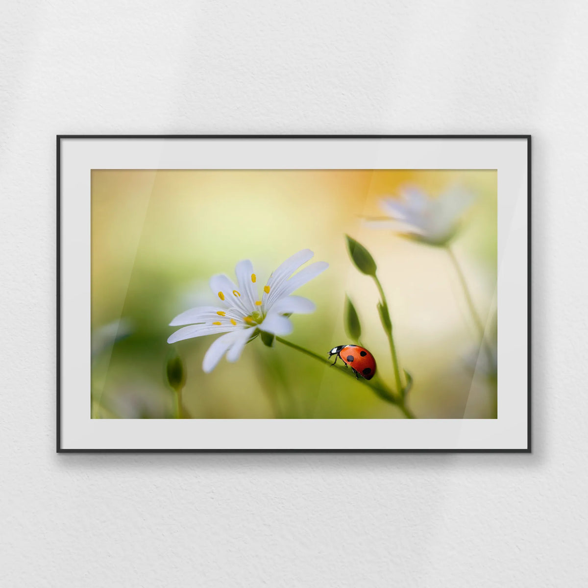 PBP100W070