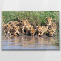 LW-075W050