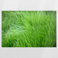 PO-060W040