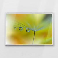 PW-093W062