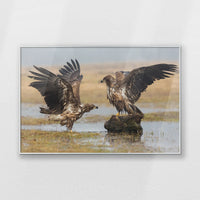 PS-100W070