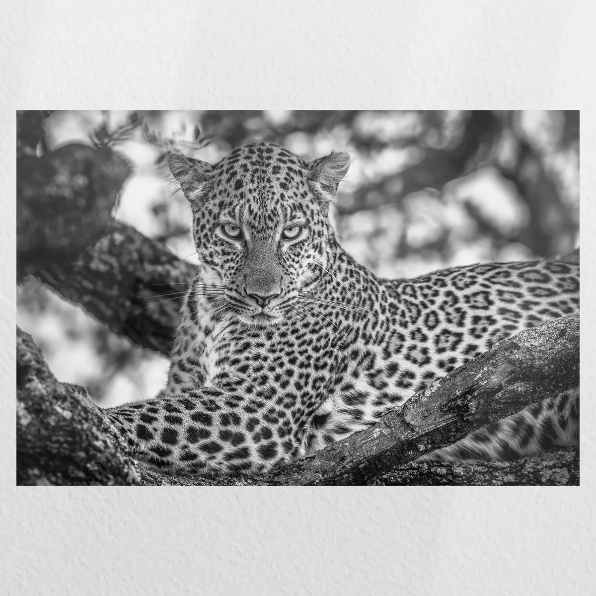 PO-045W030