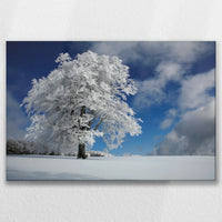 LW-090W060