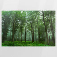 PO-075W050