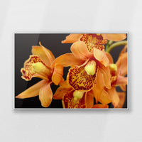 PS-093W062