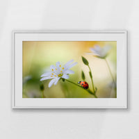 PWP093W062